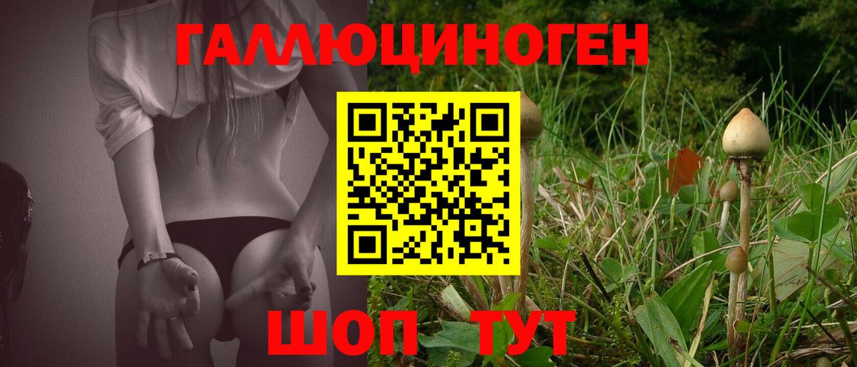 Псилоцибиновые грибы GOLDEN TEACHER Всеволожск