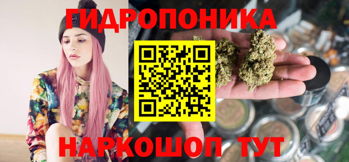 Конопля гибрид  Бошки марихуана MAZAR  Всеволожск  Шишки марихуана Bruce Banner  Вход с VPN 